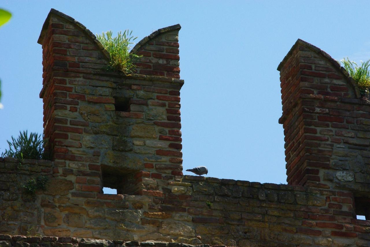 Villa Dircea CastellʼArquato 外观 照片